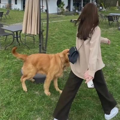 惨烈狙击战