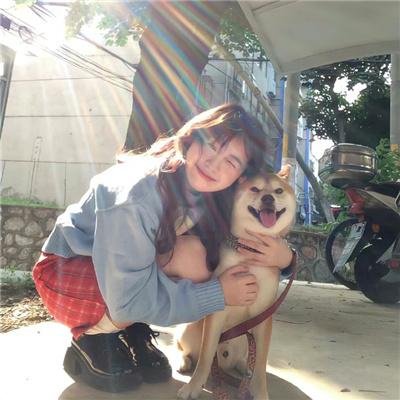 向日葵与幼犬的7天国语