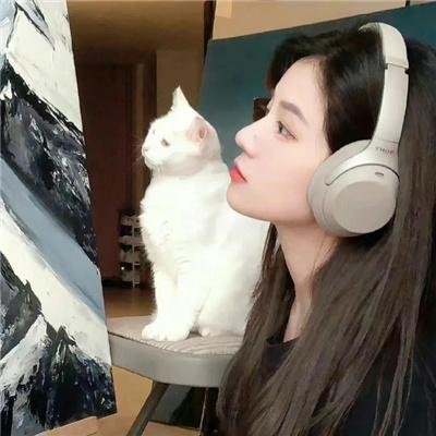 飞燕惊鸿